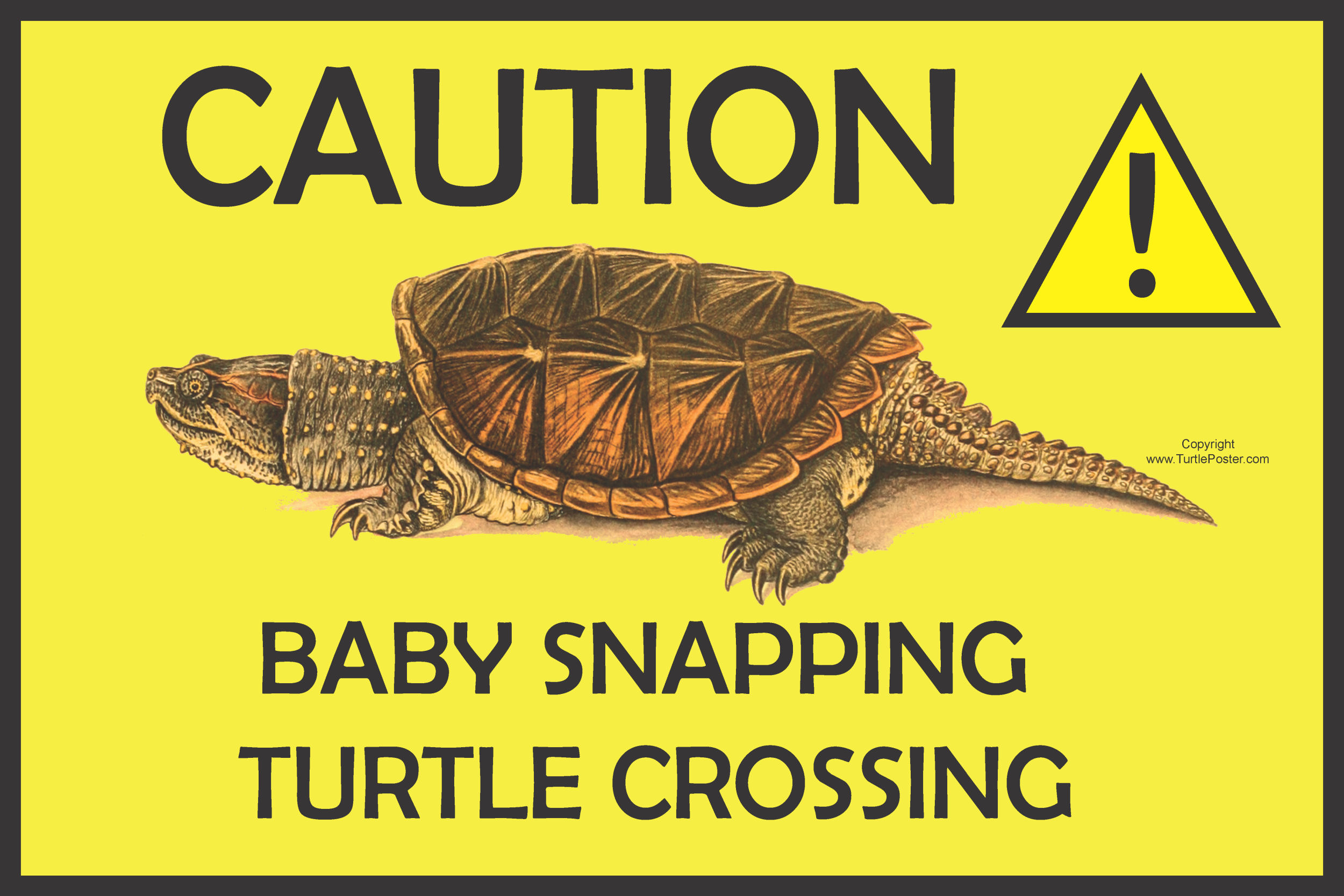 Baby Snapping Turtle Crossing Sign