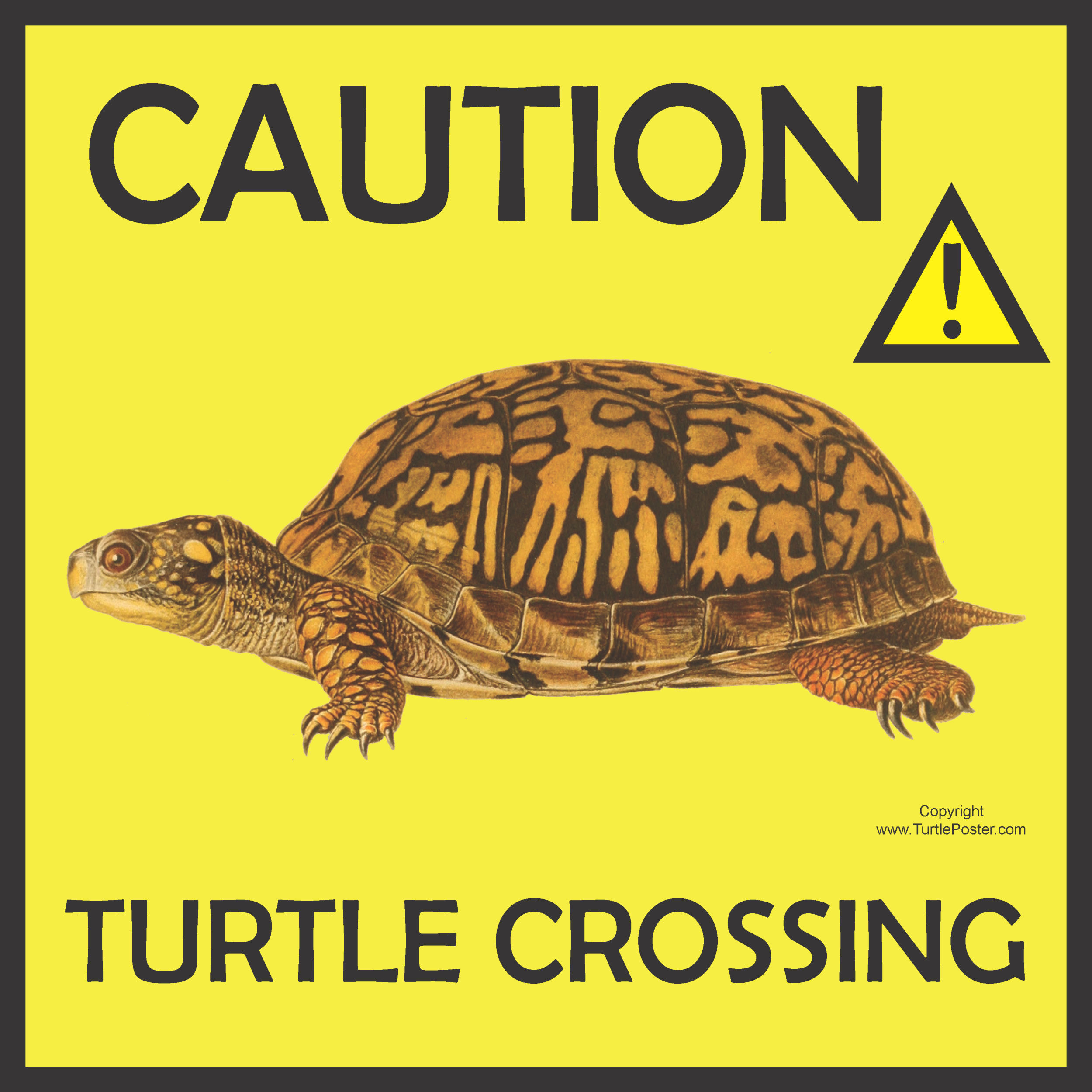 Caution Turtle Crossing Sign