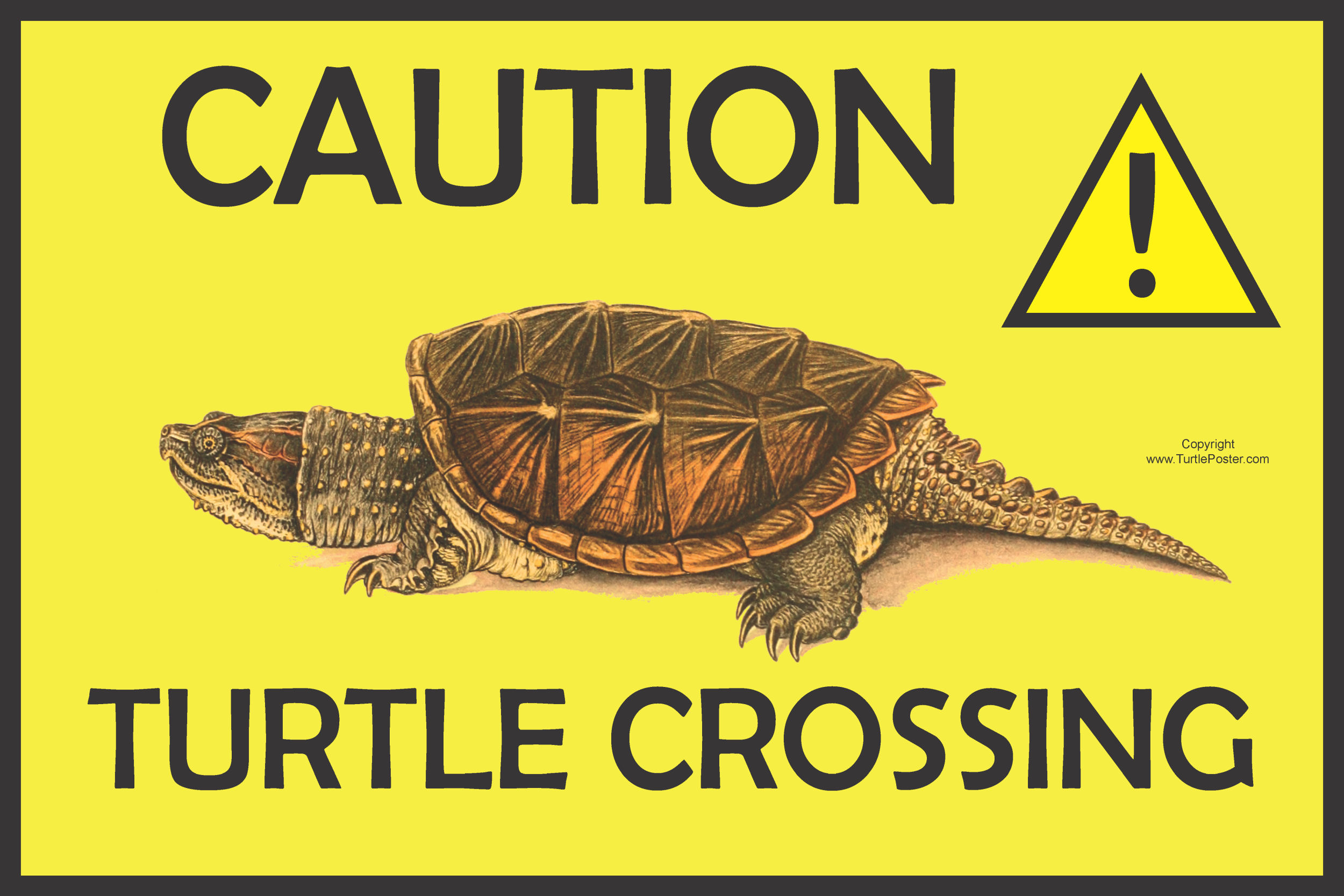 Caution Turtle Crossing Sign