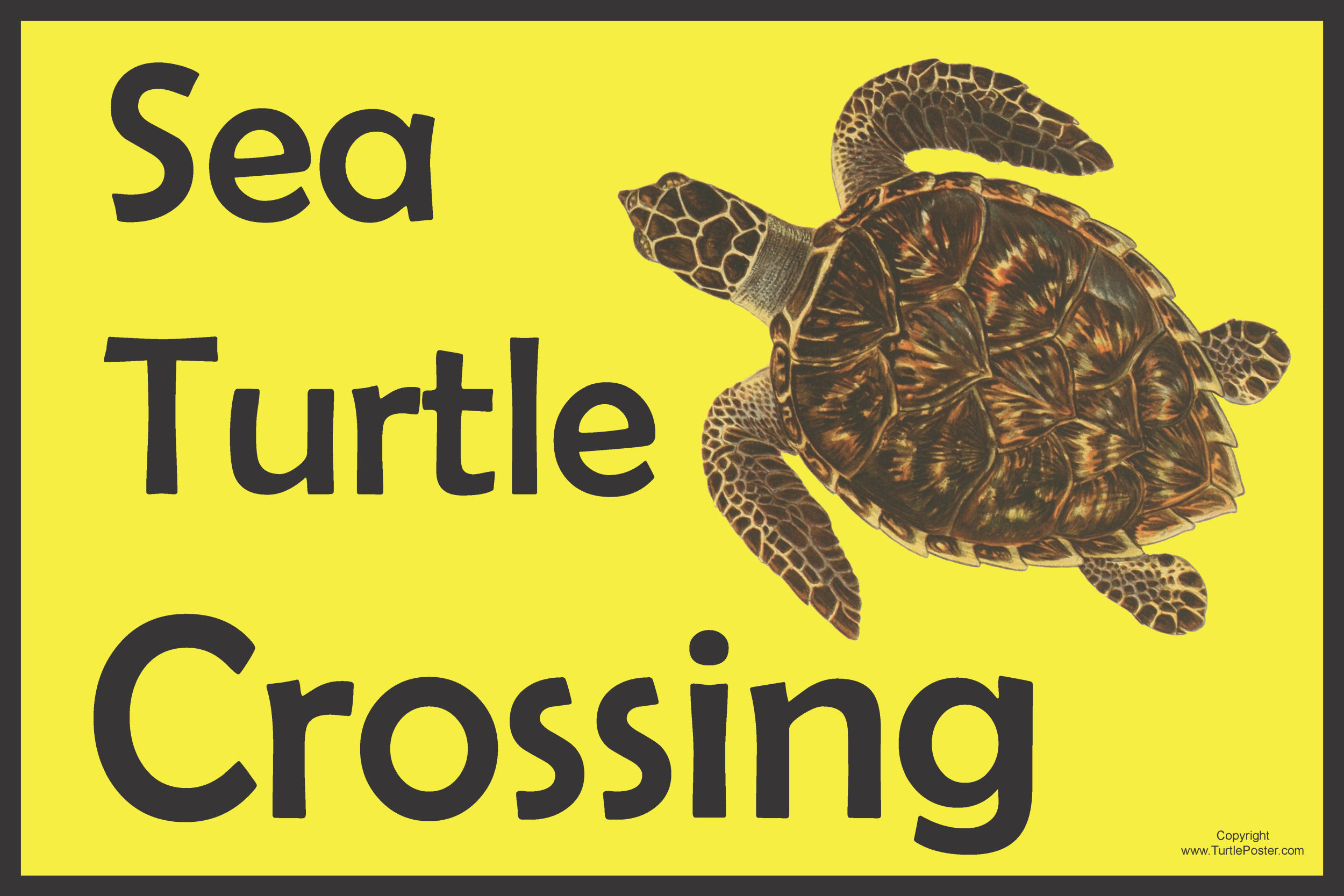 Sea Turtle Crossing Sign